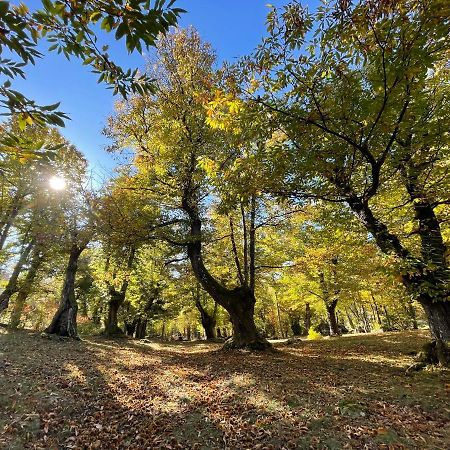 “All'Antica Dogana” Bosco  المظهر الخارجي الصورة